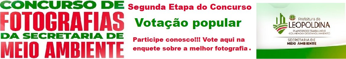 Votacaopopular